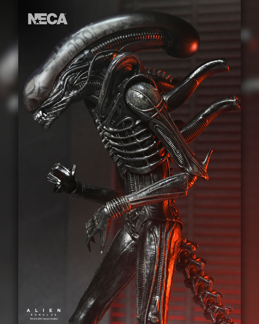Alien: Romulus - Ultimate Xenomorph XX121 7