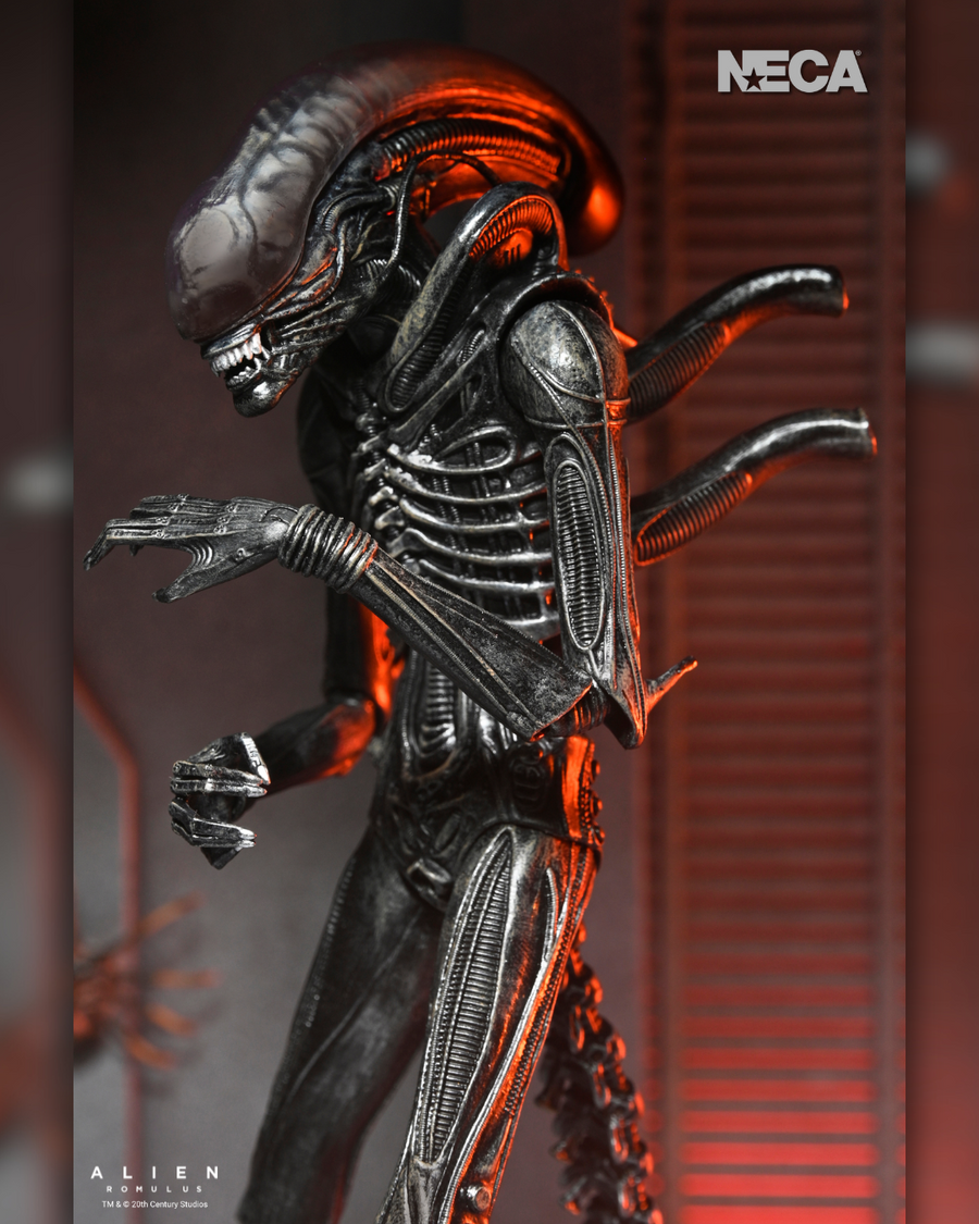 Alien: Romulus - Ultimate Xenomorph XX121 7