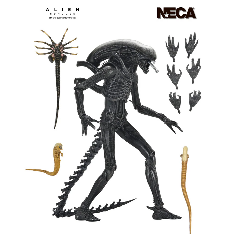 Alien: Romulus - Ultimate Xenomorph XX121 7