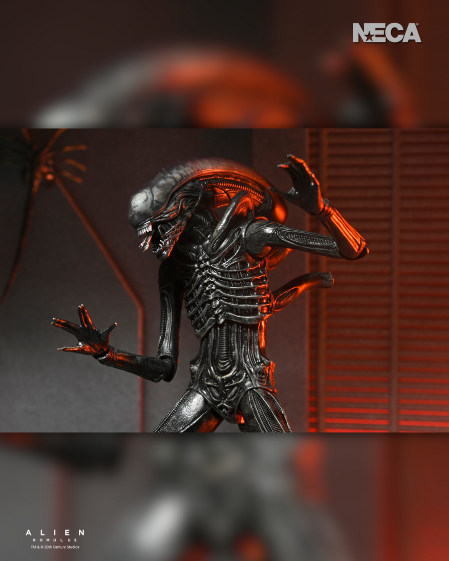 Alien: Romulus - Ultimate Xenomorph XX121 7" Scale Action Figure – Alfy ...