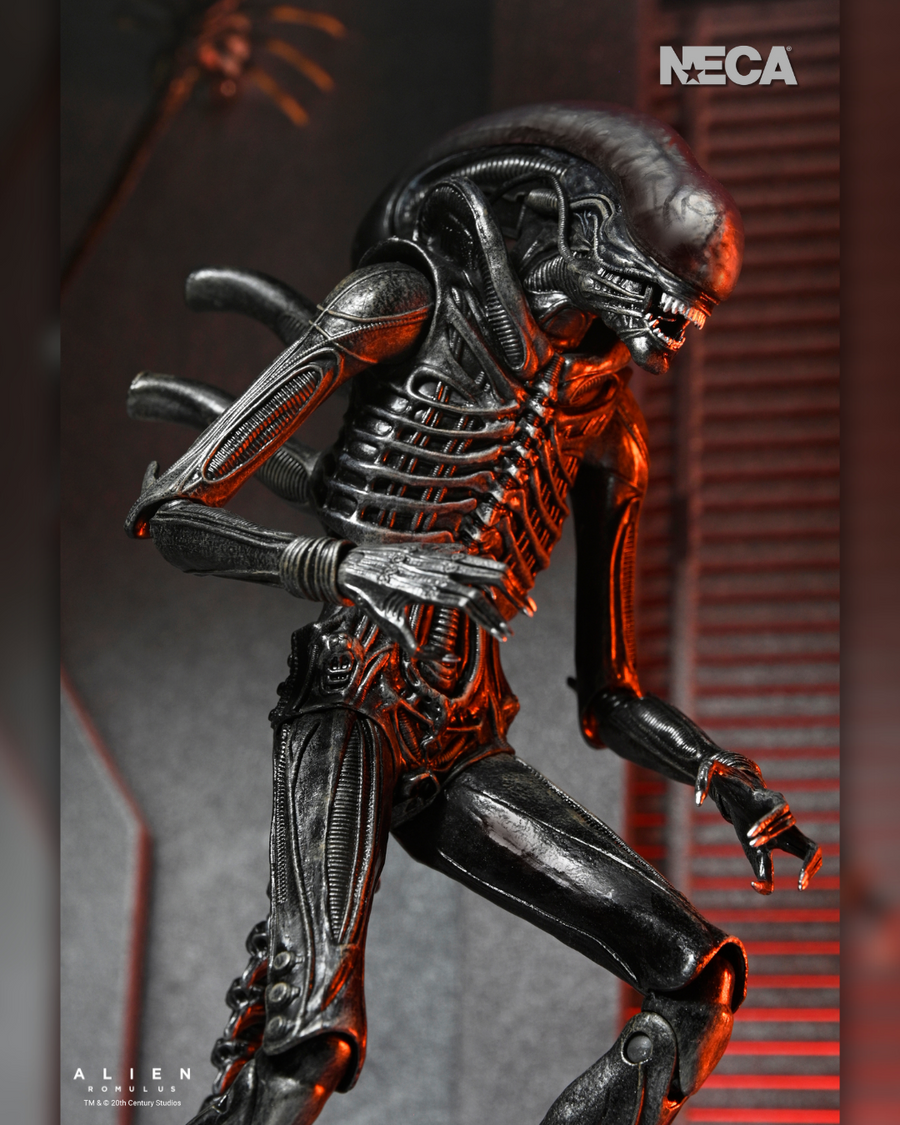 Alien: Romulus - Ultimate Xenomorph XX121 7