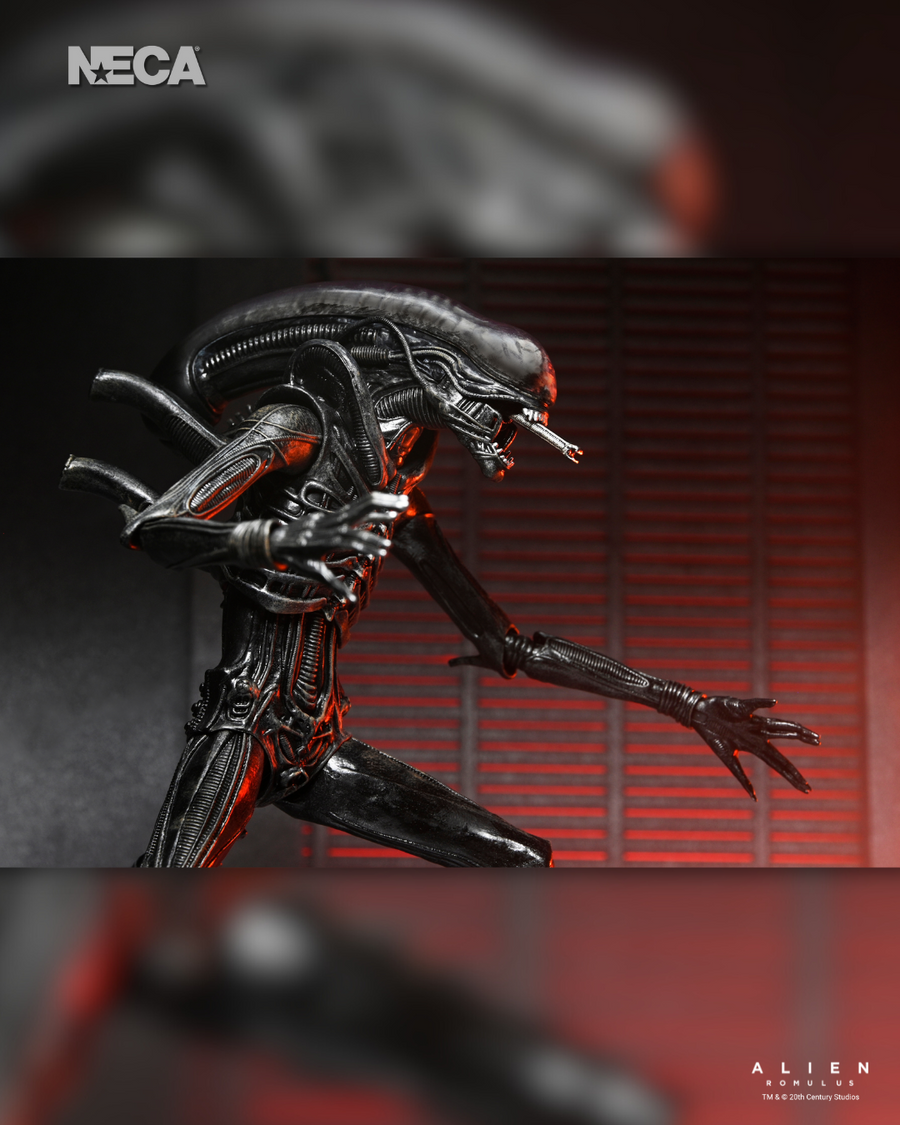 Alien: Romulus - Ultimate Xenomorph XX121 7