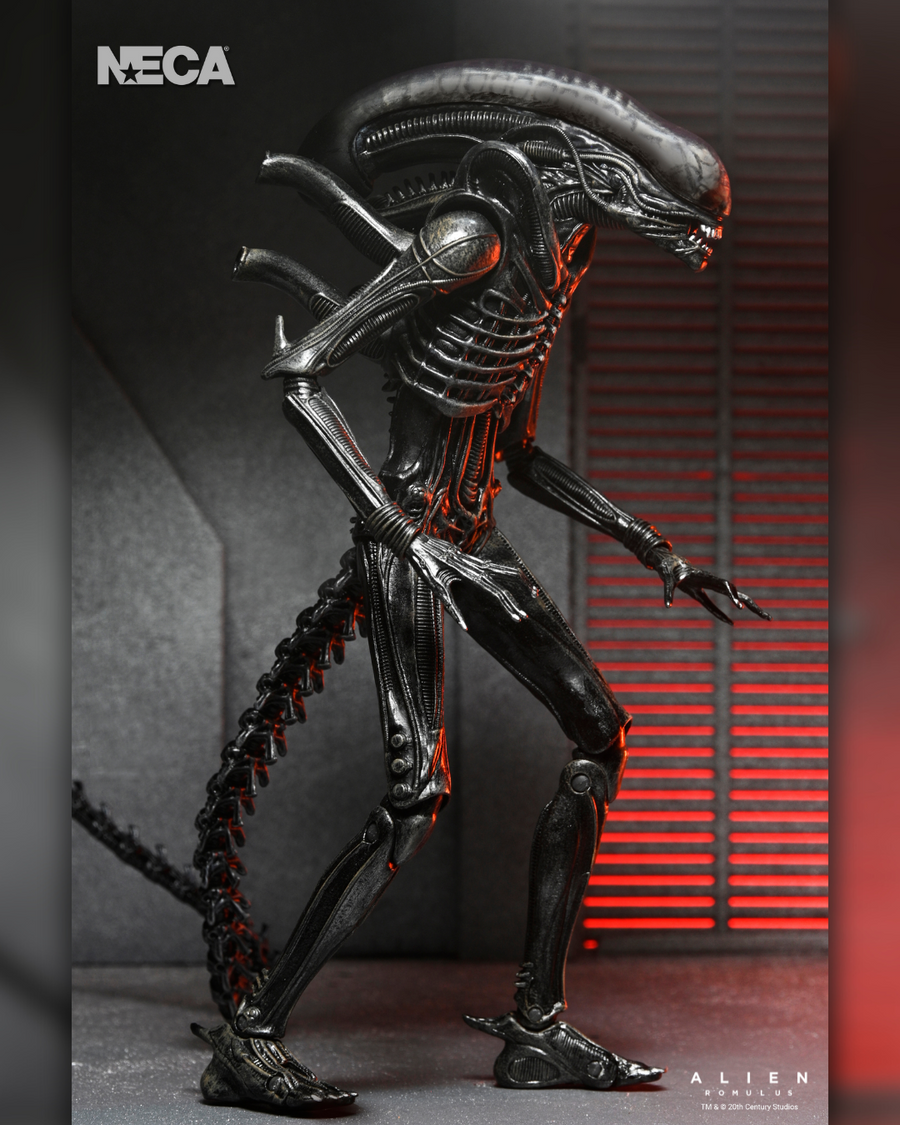 Alien: Romulus - Ultimate Xenomorph XX121 7