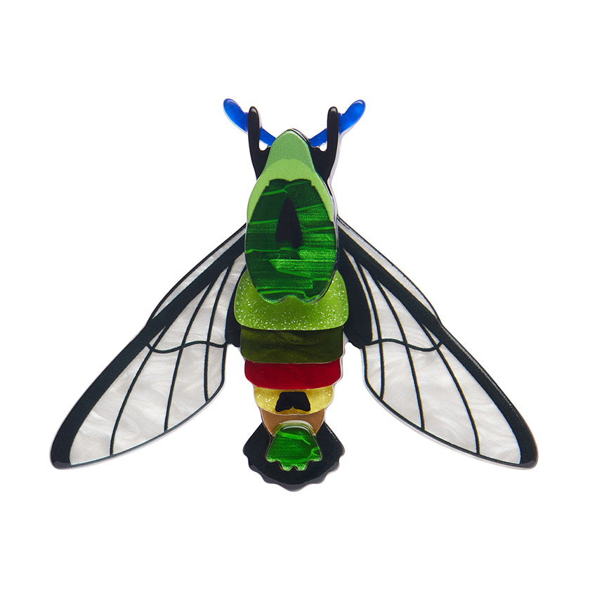 Erstwilder -  Australiana Glimmer the Hawk Moth Brooch