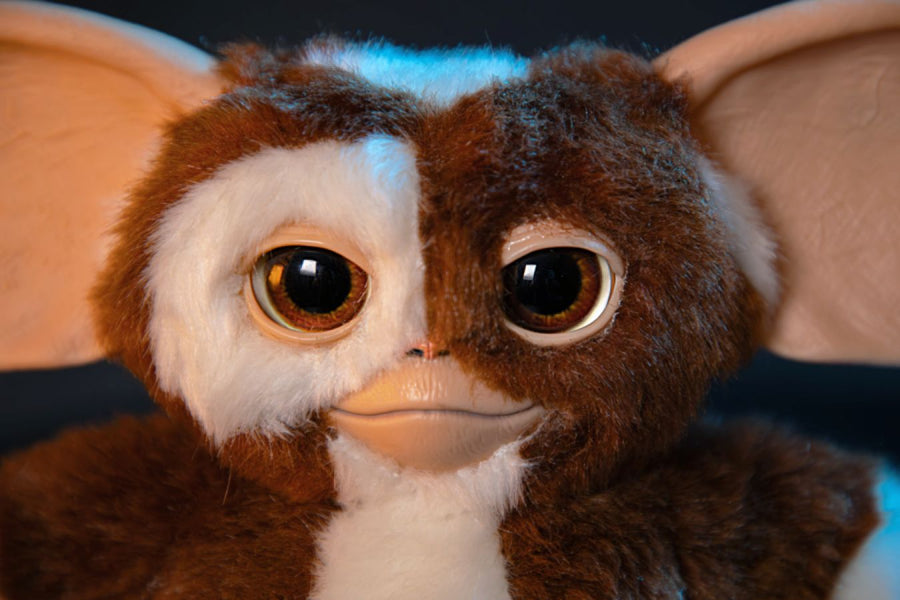 Gremlins - Gizmo 8