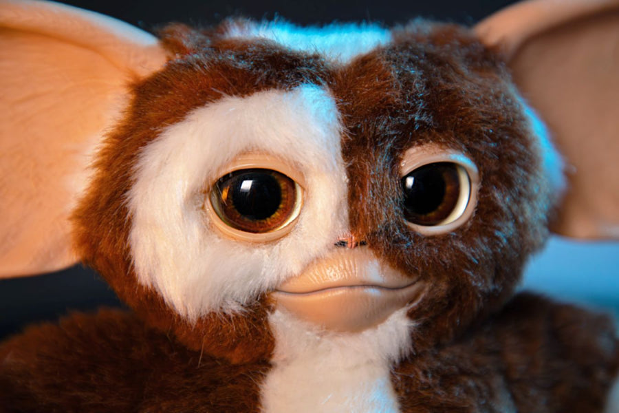 Gremlins - Gizmo 8