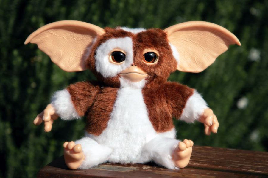 Gremlins - Gizmo 8