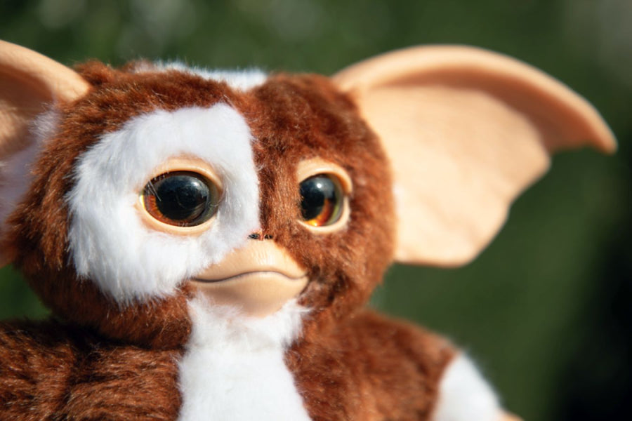 Gremlins - Gizmo 8