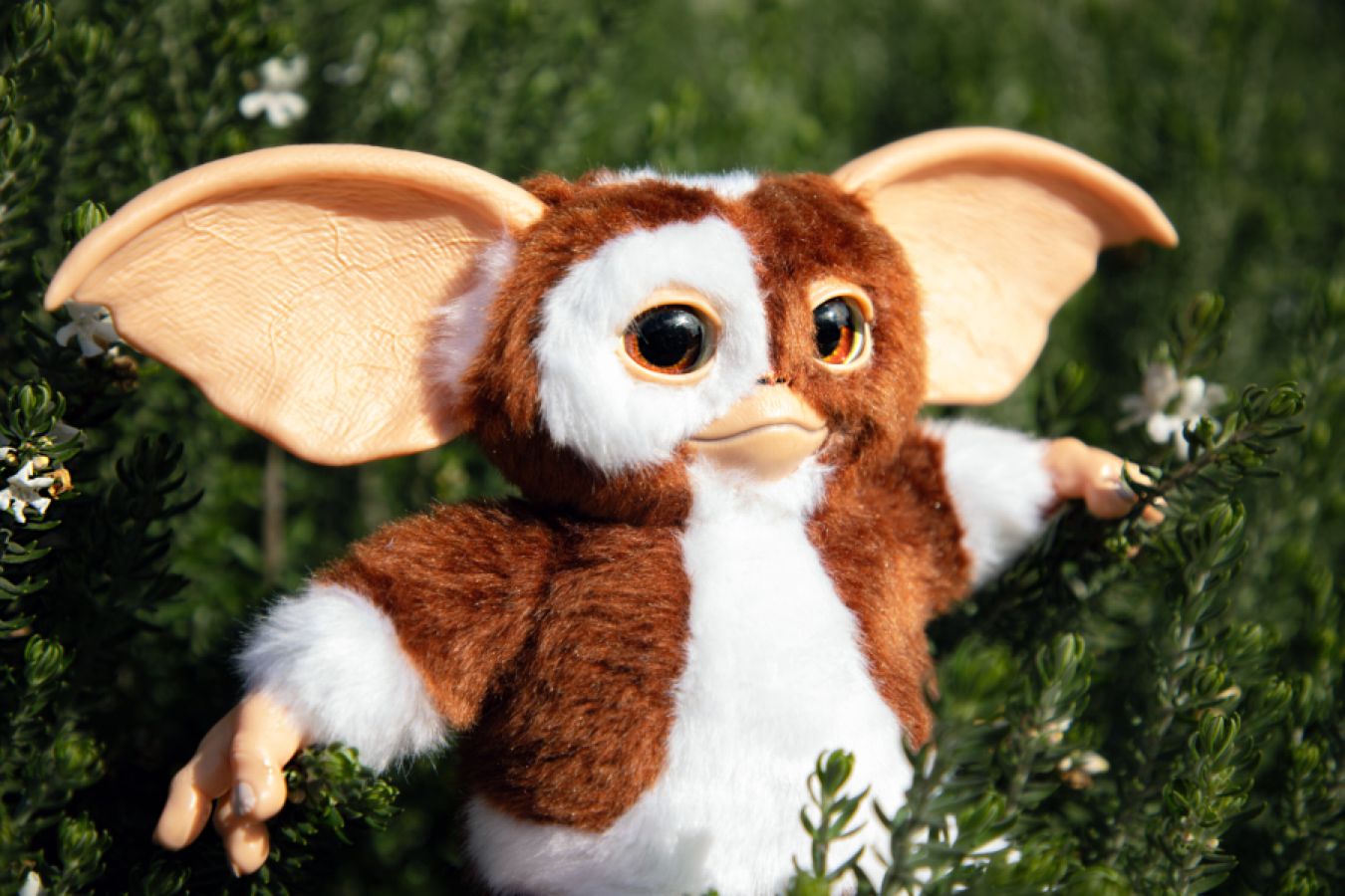 Toy Pupazzo Gremlins Buy VTG Gizmo Mogwai, Gremlins, Warner Bros