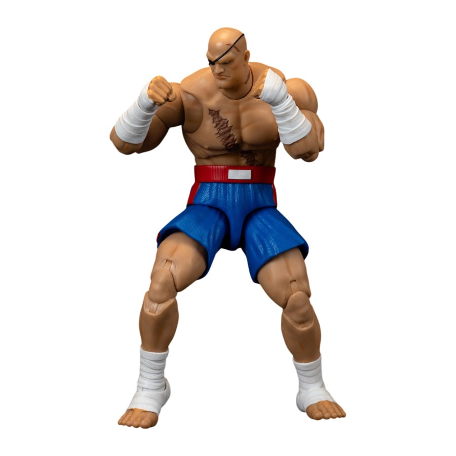 Street Fighter - SAGAT 6” Action Figure