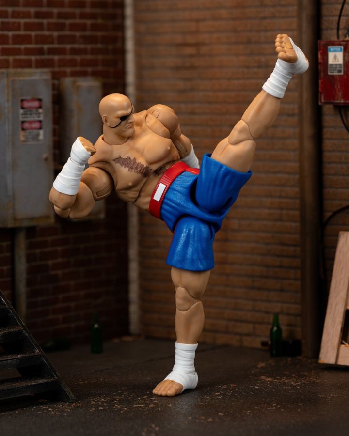 Street Fighter - SAGAT 6” Action Figure