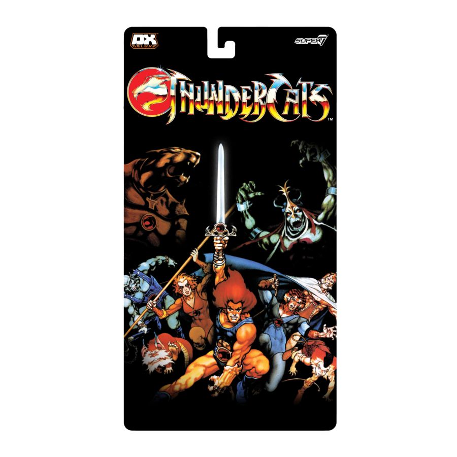 Thundercats - LION-O Deluxe 7