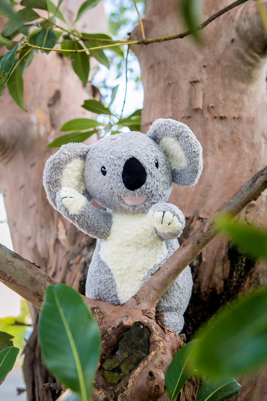 Organic Cotton Koala Plush