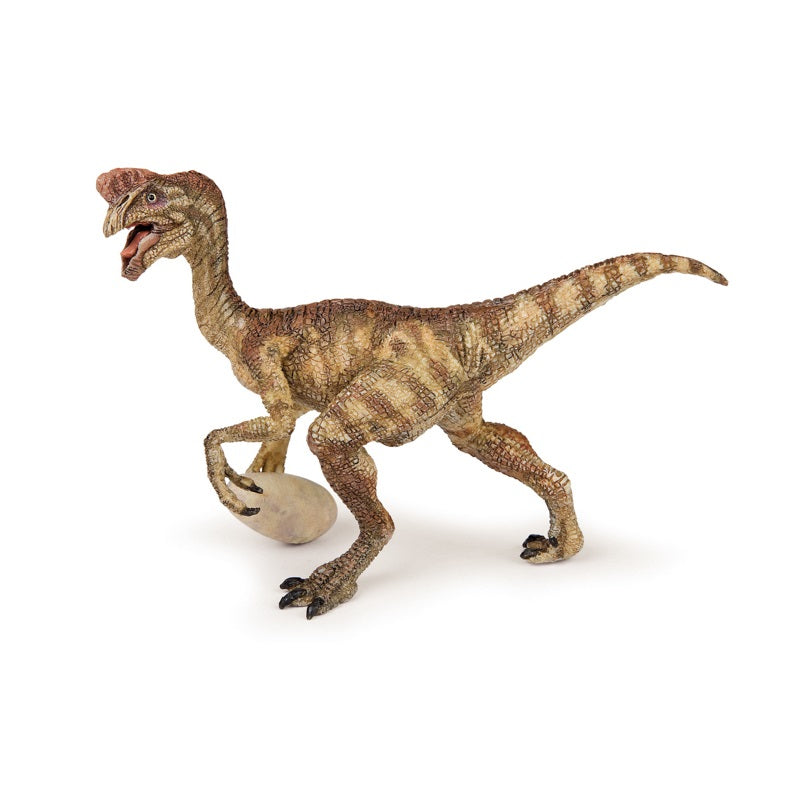 Dinosaur - Oviraptor