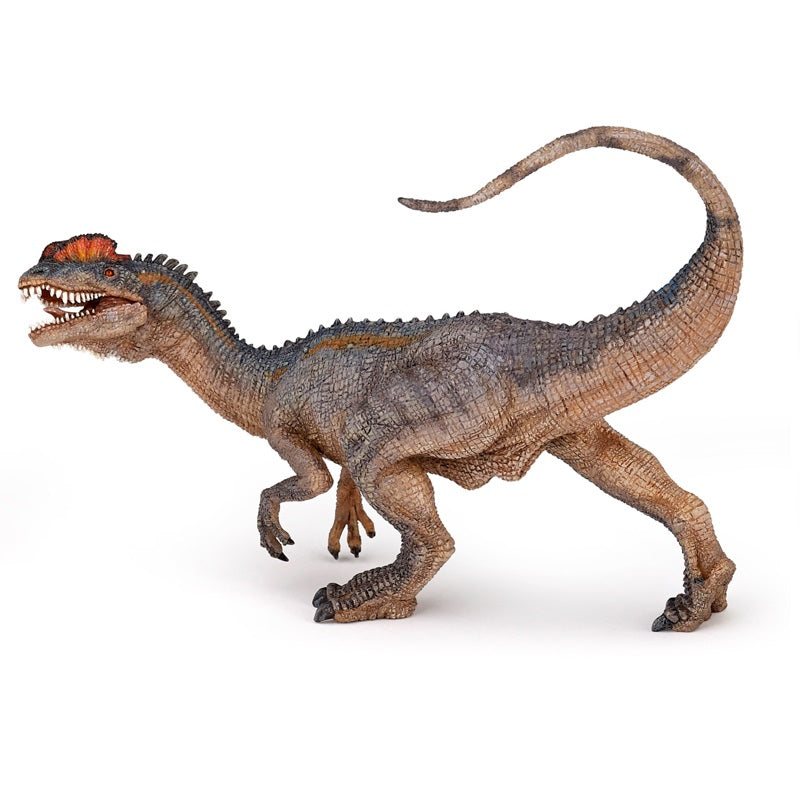 Dinosaur - Dilophosaurus
