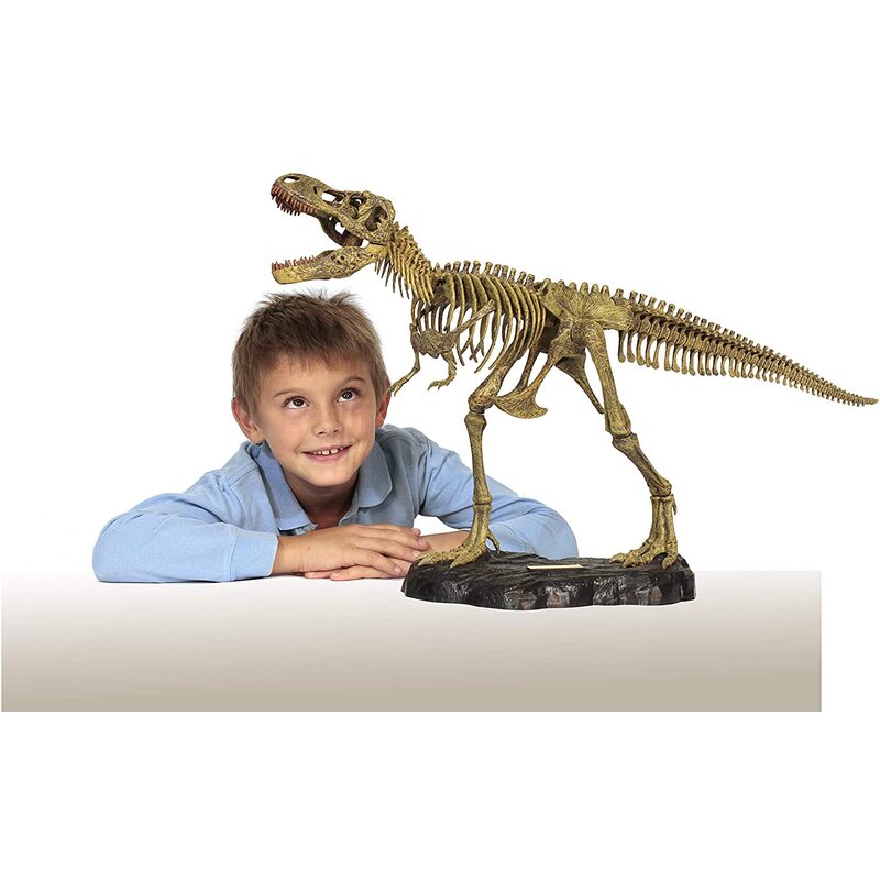Dr Steve Hunters T-REX Tyrannosaurus Rex Full Skeleton Model Kit 6+