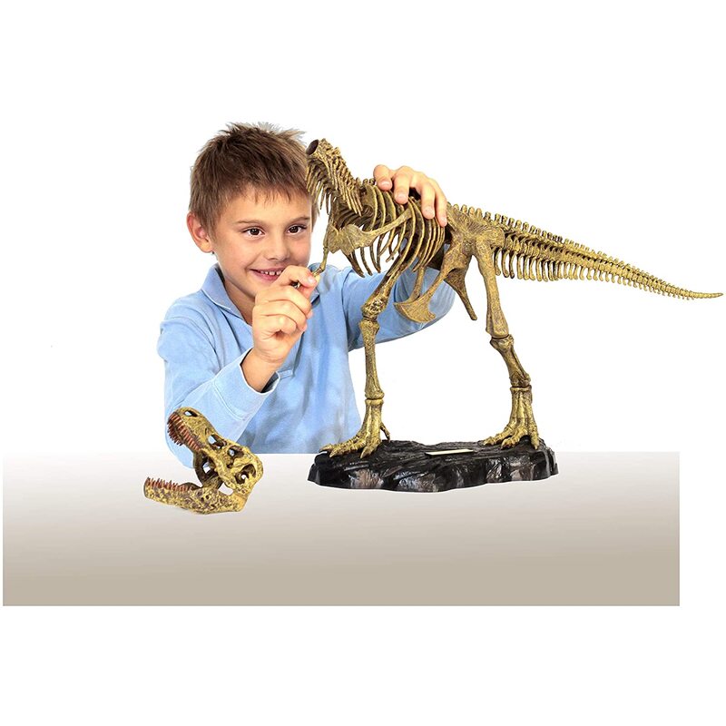 Dr Steve Hunters T-REX Tyrannosaurus Rex Full Skeleton Model Kit 6+