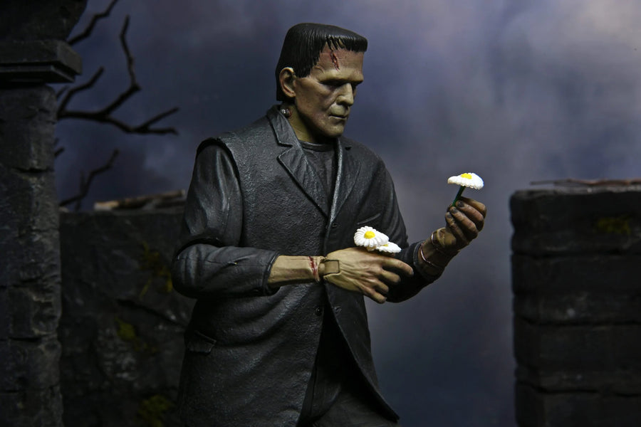 Universal Monsters - Frankenstein 7