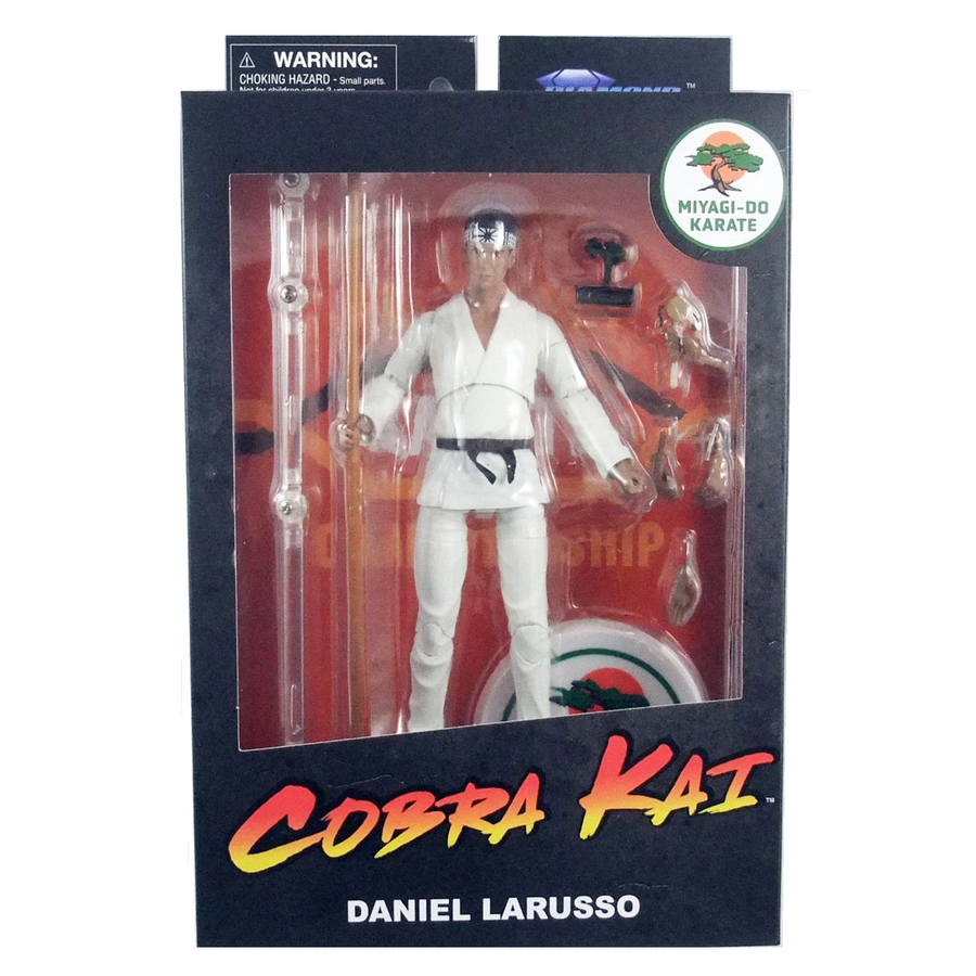 Cobra Kai - Daniel Laruso 7