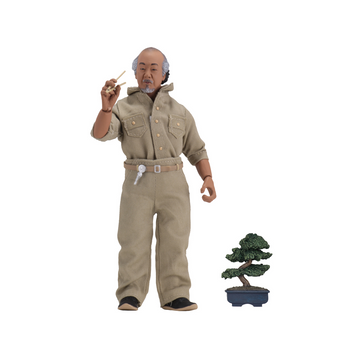 Karate Kid - Mr Miyagi