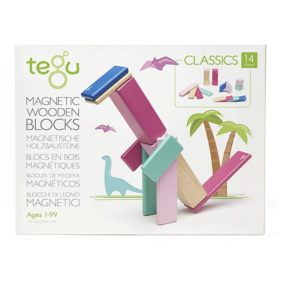 Tegu - Magnetic Wooden Blocks 14pc - Blossom